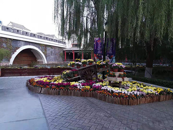 չʾ